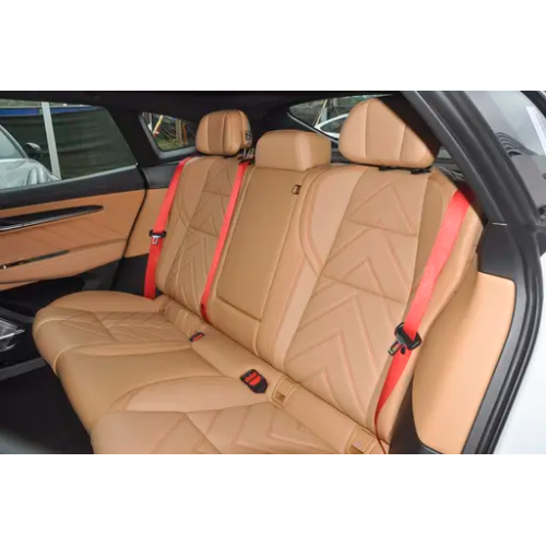 2023 Hotsale Zeekr 00 Ev Car 100kWh WE Version ZEEKR 001 BEV Vehicle